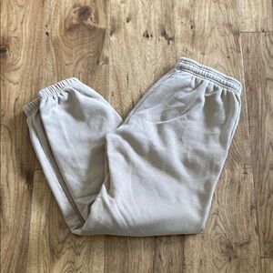 Aritzia The Constant Jogging pants